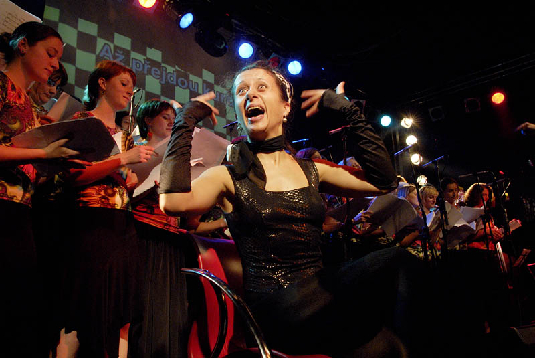  DSC6347